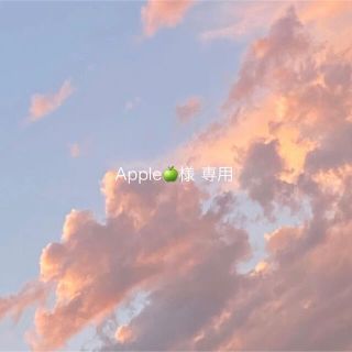 Apple🍏様 専用(つけ爪/ネイルチップ)