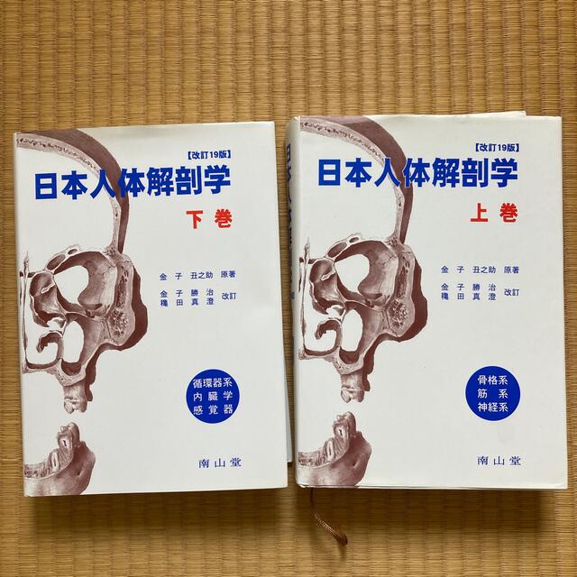 人体解剖学 上下セット