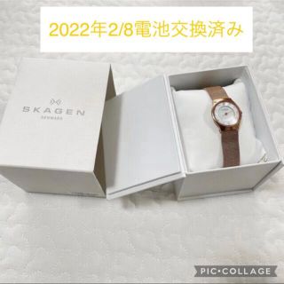 スカーゲン(SKAGEN)のスカーゲン　レディース 時計(腕時計)