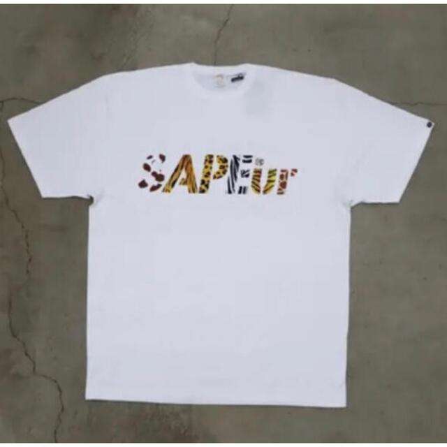 SAPEur サプール サファリ Tシャツ ブラック XLサイズ 新品未使用