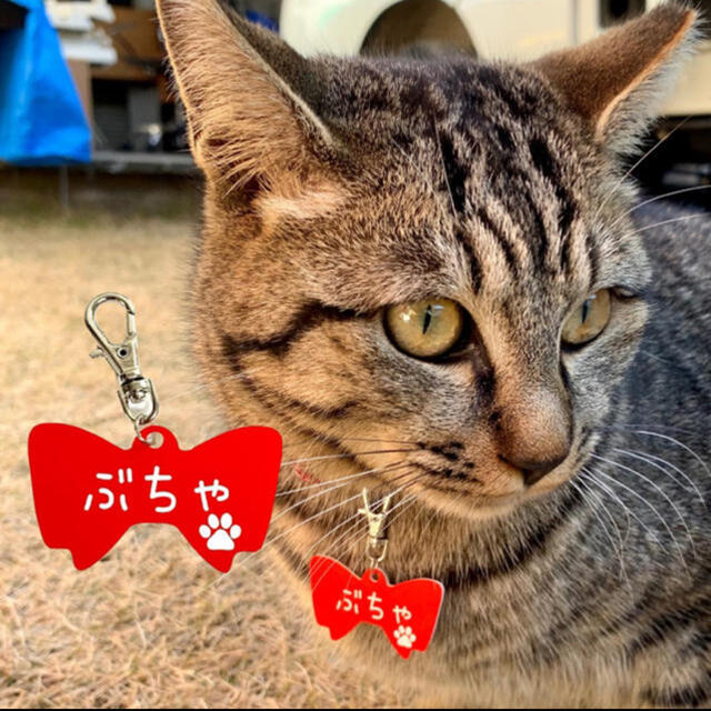 【名入れ彫刻】愛犬・愛猫用 ネームタグ プレート リボンVer. ハンドメイドのペット(その他)の商品写真