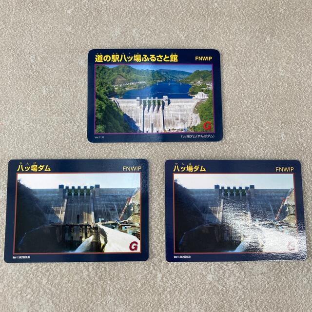 ダムカード エンタメ/ホビーのトレーディングカード(その他)の商品写真