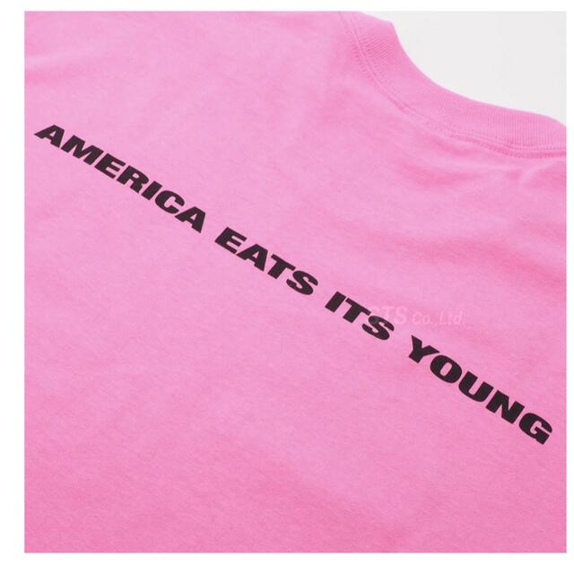 Tシャツ/カットソー(半袖/袖なし)supreme America eats its young tee 黒L