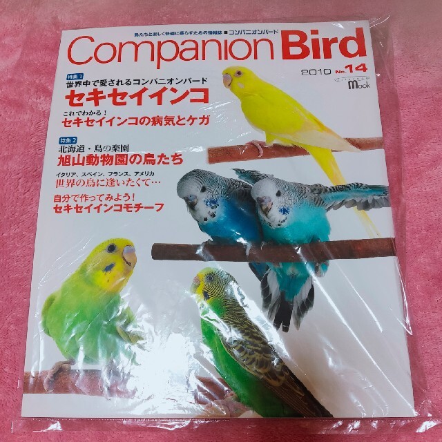 セキセイインコ付き ヘアクリップ 2個セット - 通販 - guianegro.com.br