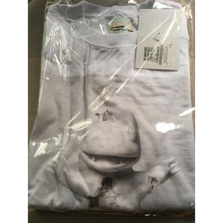 ★ Daniel Arsham × Pokmon ヒトカゲ　Tシャツ　ホワイト★(Tシャツ/カットソー(半袖/袖なし))