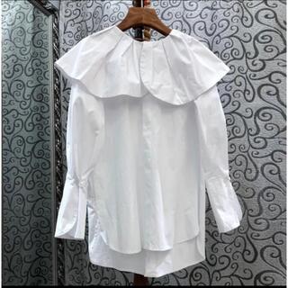 美品大きい襟の白シャツ(シャツ/ブラウス(長袖/七分))