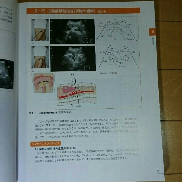 解剖と正常像がわかる!エコ-の撮り方完全マスタ- YOUR ...