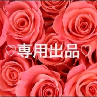 hiroko様★専用(その他)