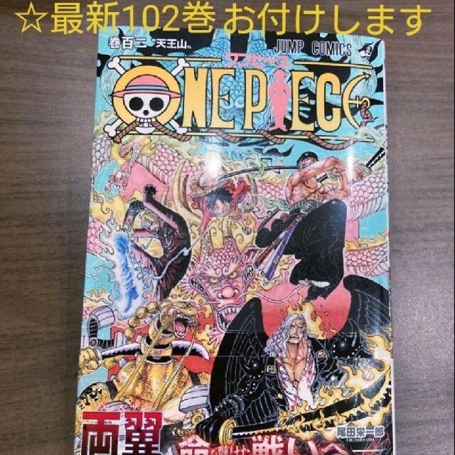 ビューティ科目 ローブ 全篇ひとそろい おまけお供 最新102巻まで One Piece Queenslandhistory Org