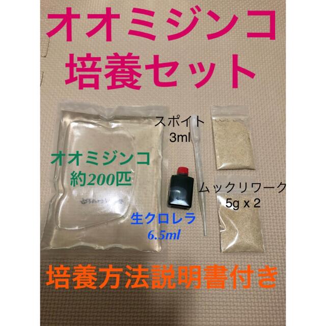 オオミジンコ培養セット その他のペット用品(アクアリウム)の商品写真