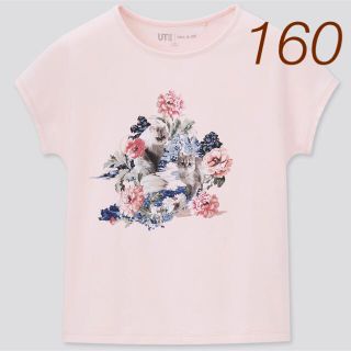 ユニクロ(UNIQLO)の【新品】UNIQLO ポール&ジョー UT グラフィックTシャツ 半袖シャツ(Tシャツ/カットソー)