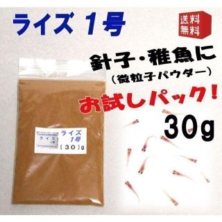 めだか の 餌 エサ◇ライズ１号（針子/微粒子パウダー）３０ｇ◇メダカ えさ①(アクアリウム)