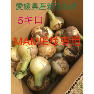 MAMIE専用。新玉ねぎ 約5キロ(野菜)