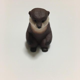 まちぼうけ6 ガチャ　カワウソ(その他)