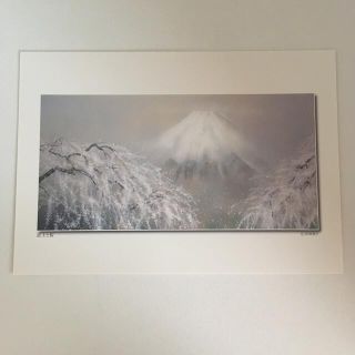 ポストカード 浜田泰介 アールビバン 日本画 富士山 春 桜 非売品(その他)