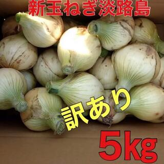 新玉ねぎ淡路島　訳あり5キロ(野菜)