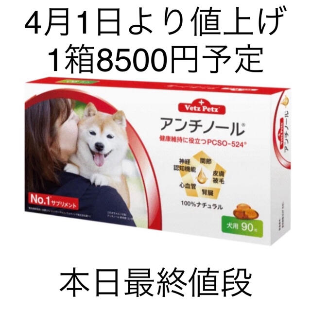 犬用アンチノール90粒入り新品未開封1箱