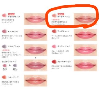 く日はお得♪ リップグロス メイクポーチ ETVOS 口紅 セラム フェイス
