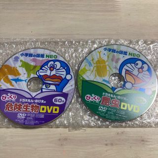 ショウガクカン(小学館)の専用　小学館　図鑑NEO DVD   2枚(キッズ/ファミリー)