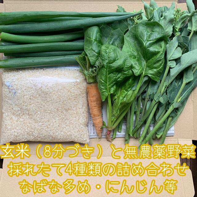 玄米（8分づき）と無農薬野菜＊採れたて4種類の詰め合わせ＊なばな多め＊ネコポス＊ 食品/飲料/酒の食品(野菜)の商品写真