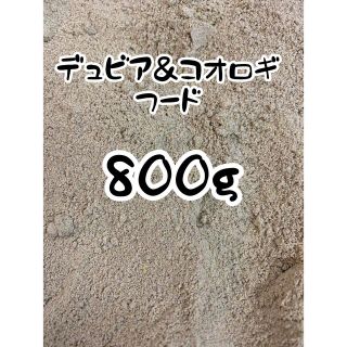 ☆送料無料☆デュビア＆コオロギのごはん☆800g☆(爬虫類/両生類用品)