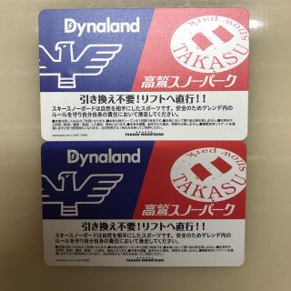 高鷲スノーパーク&ダイナランド　リフト券　2枚(スキー場)