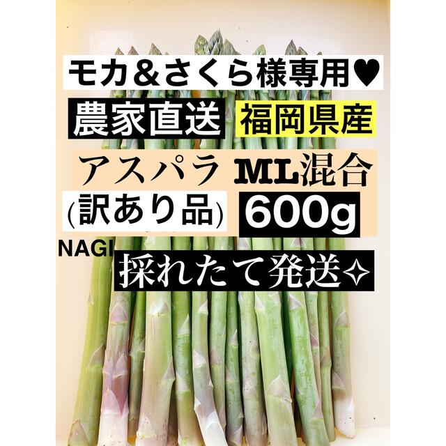 モカ＆さくら様専用♥アスパラガス MLサイズ混合 食品/飲料/酒の食品(野菜)の商品写真