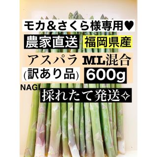 モカ＆さくら様専用♥アスパラガス MLサイズ混合(野菜)