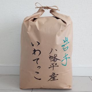 お米　１０キロ　白米　いわてっこ(米/穀物)