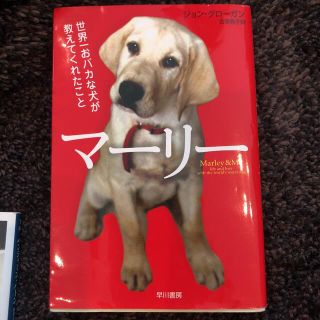 マ－リ－ 世界一おバカな犬が教えてくれたこと(その他)