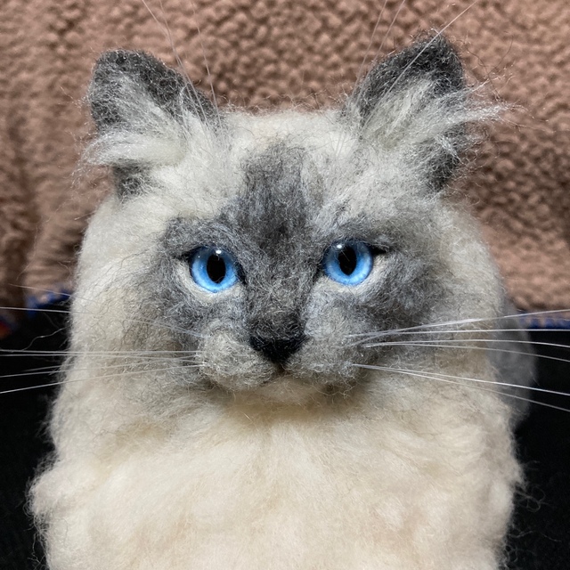 猫耳pq様確認用 羊毛フェルト オーダー ラグドールちゃんの通販 猫耳pq様確認用 羊毛フェルト オーダー ラグドールちゃんの通販