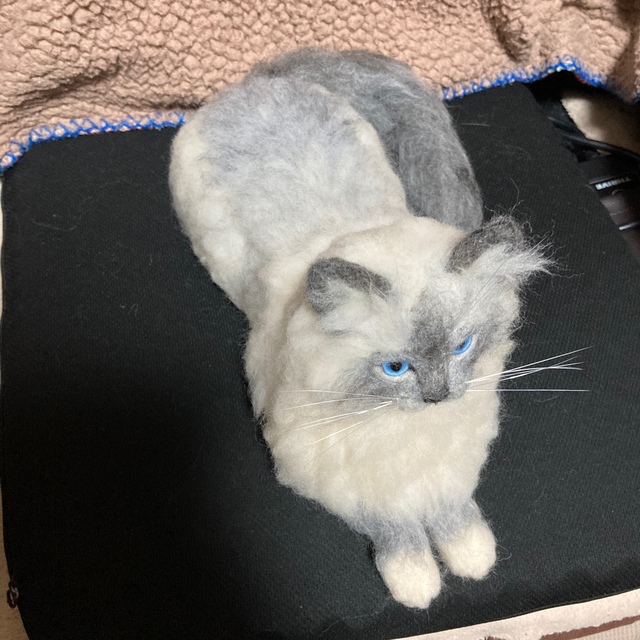 猫耳pq様確認用 羊毛フェルト オーダー ラグドールちゃんの通販 猫耳pq様確認用 羊毛フェルト オーダー ラグドールちゃんの通販