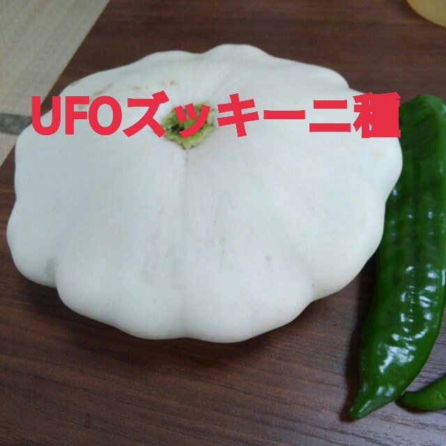 UFOズッキーニ種白➕マイクロキュウリ種 食品/飲料/酒の食品(野菜)の商品写真