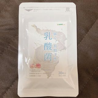 乳酸菌　シードコムス　サプリメント　サプリ　1ヶ月分(ダイエット食品)