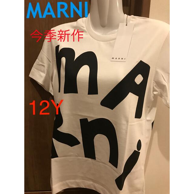 MARNI ロゴ　Tシャツ　新品未使用　タグ付き　12Y