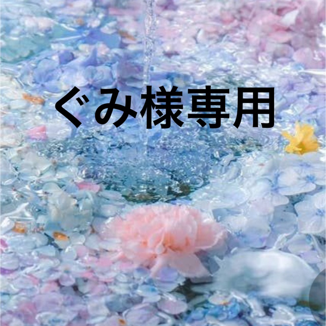 済み グミちゃん❁︎ご購入ページ 直販正規品 済み グミちゃん❁︎ご購入ページ フラワー/ガーデン