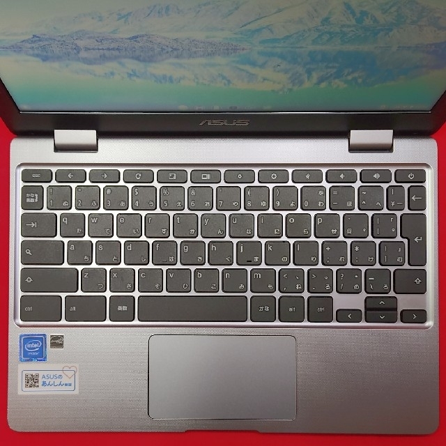 ASUS Chromebook C223NA 1