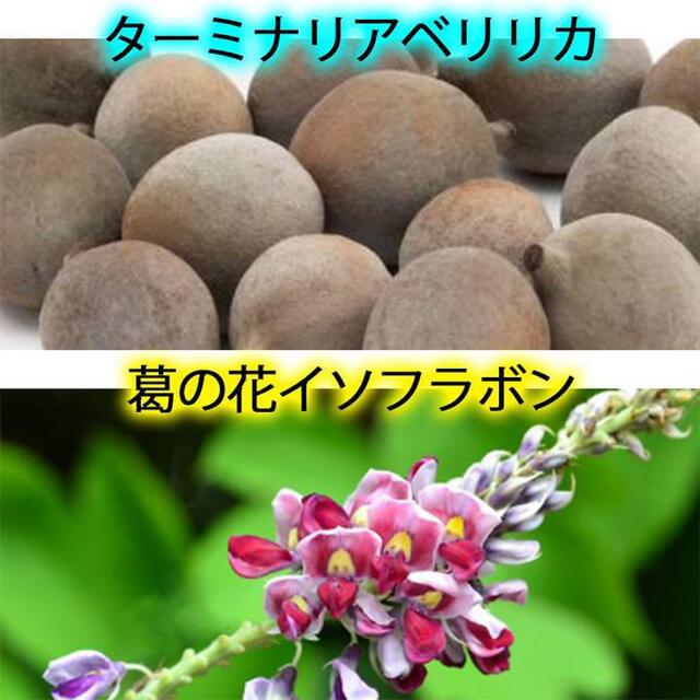 定価 3,218円‼️数々の芸能人も愛用❣️SNSで話題の ダイエットサプリ コスメ/美容のダイエット(ダイエット食品)の商品写真