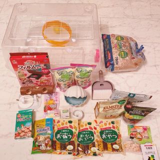 ハムスター飼育セット🐹(かご/ケージ)