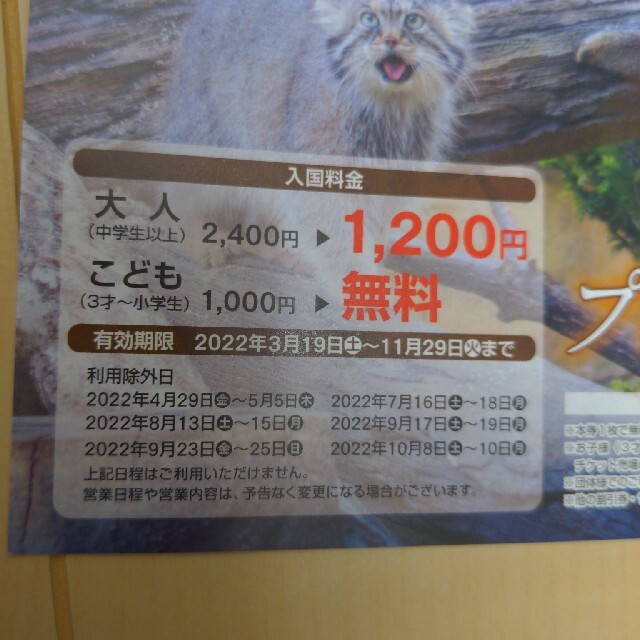 那須どうぶつ王国　4枚 チケットの施設利用券(動物園)の商品写真