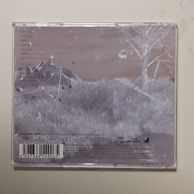 乃木坂46(ノギザカフォーティーシックス)の乃木坂46　Actually　CD　初回限定盤　TYPEB エンタメ/ホビーのCD(ポップス/ロック(邦楽))の商品写真