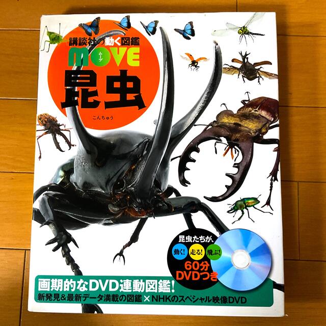 講談社(コウダンシャ)の講談社の動図鑑MOVE 昆虫 エンタメ/ホビーの本(絵本/児童書)の商品写真