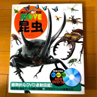 コウダンシャ(講談社)の講談社の動図鑑MOVE 昆虫(絵本/児童書)