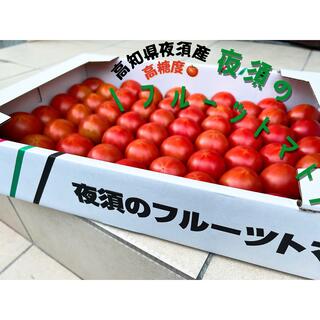 夜須のフルーツトマト 高知県夜須産 土佐香美 高糖度 15〜25玉(野菜)