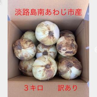 淡路島産新玉ねぎ　３キロ 訳あり(野菜)
