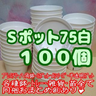 《Sポット75》白 100個 スリット鉢 プラ鉢2.5号鉢相当 多肉 プレステラ(プランター)