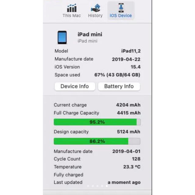 iPad mini5 Wi-Fi+Cellular 64GB セルラー 6