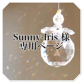 Sunny-lris様　専用ページ(ポップス/ロック(洋楽))