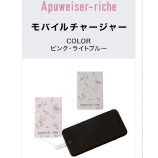 アプワイザーリッシェ(Apuweiser-riche)のApuweiser richeノベルティ(その他)