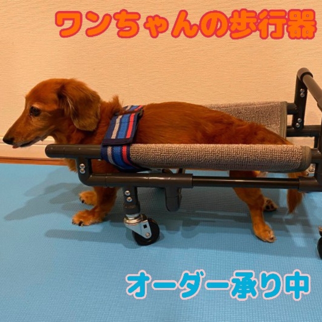 犬用 車椅子 小型犬用4輪車 ダックスフンドサイズ 歩行器 - 犬用品 犬用 車椅子 小型犬用4輪車 ダックスフンドサイズ 歩行器 - 犬用品